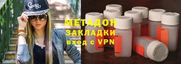 прущие грибы Осинники