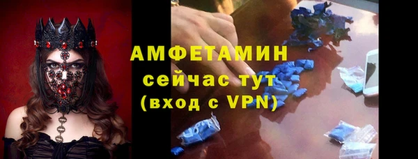 прущие грибы Осинники