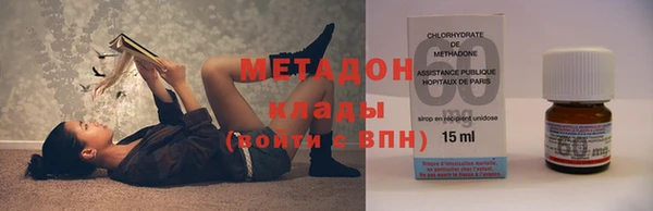 прущие грибы Осинники