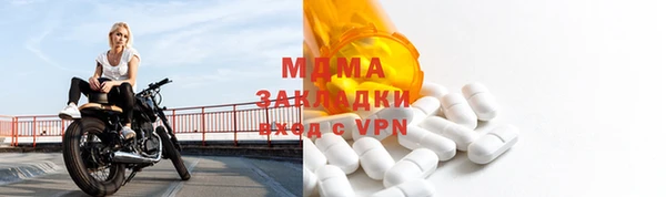 прущие грибы Осинники