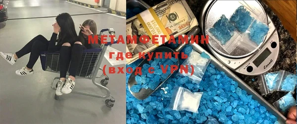 прущие грибы Осинники