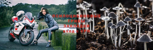 спайс Осташков