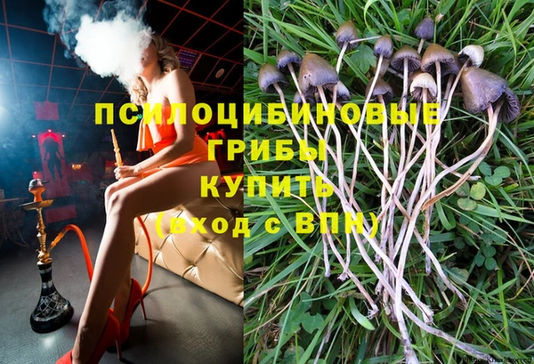 спайс Осташков