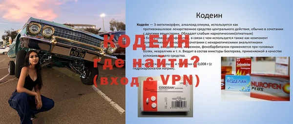 прущие грибы Осинники