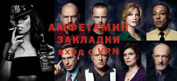 прущие грибы Осинники