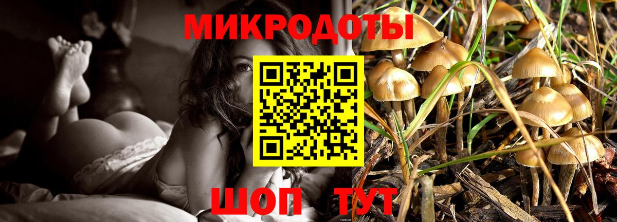 Туймазы  Галлюциногенные грибы Psilocybine cubensis  Вход с VPN 